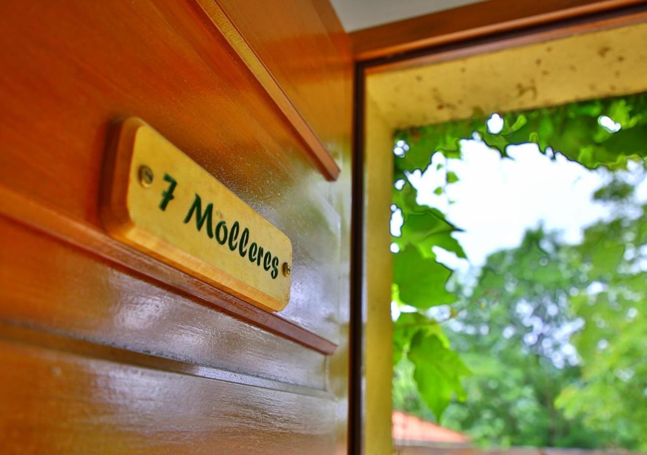 Beau Vallon - Gite Et Chambres D'Hotes Pyrenees-Mediterranee - Pays Catalan Sahorre Buitenkant foto